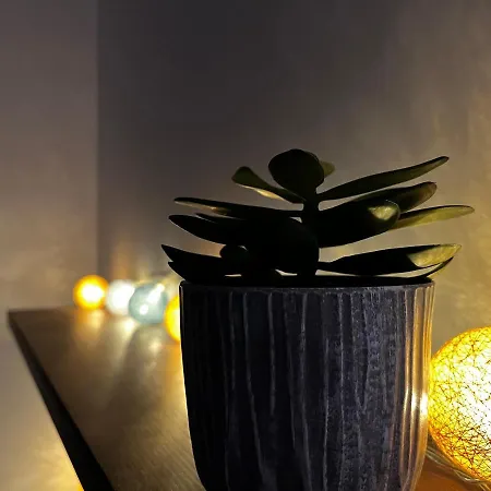 Avec Terrasse Salle De Sport Et 3 Appartamento