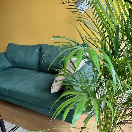 Avec Terrasse Salle De Sport Et 3 公寓 *