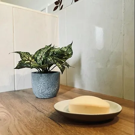 Apartament Avec Terrasse Salle De Sport Et 3