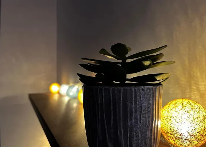 Avec Terrasse Salle De Sport Et 3 公寓