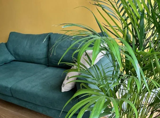 Avec Terrasse Salle De Sport Et 3 公寓 *