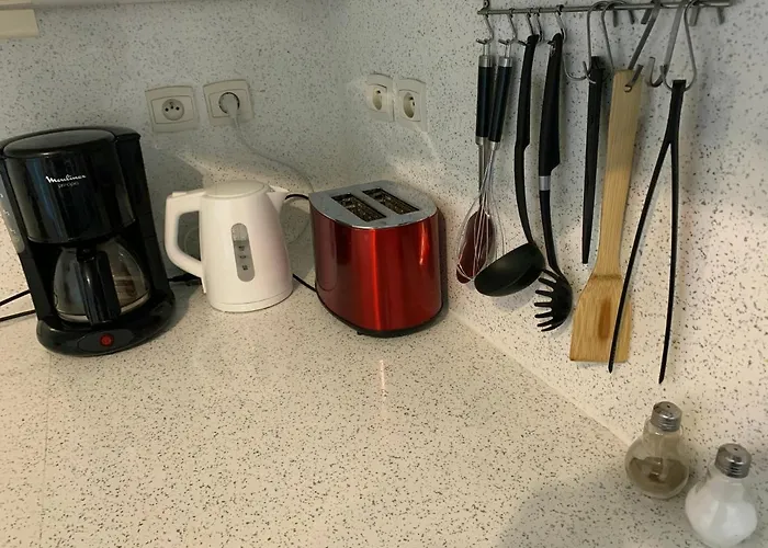 公寓 Avec Terrasse Salle De Sport Et 3 *