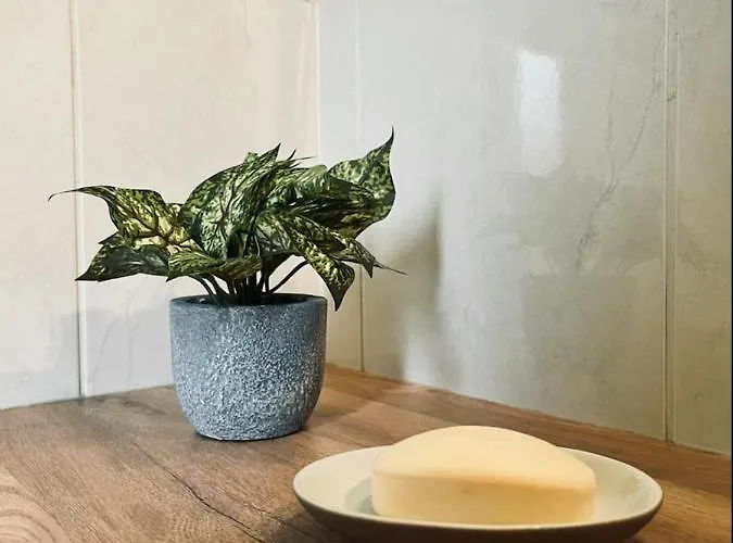 公寓 Avec Terrasse Salle De Sport Et 3