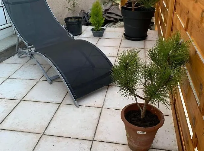 公寓 Avec Terrasse Salle De Sport Et 3